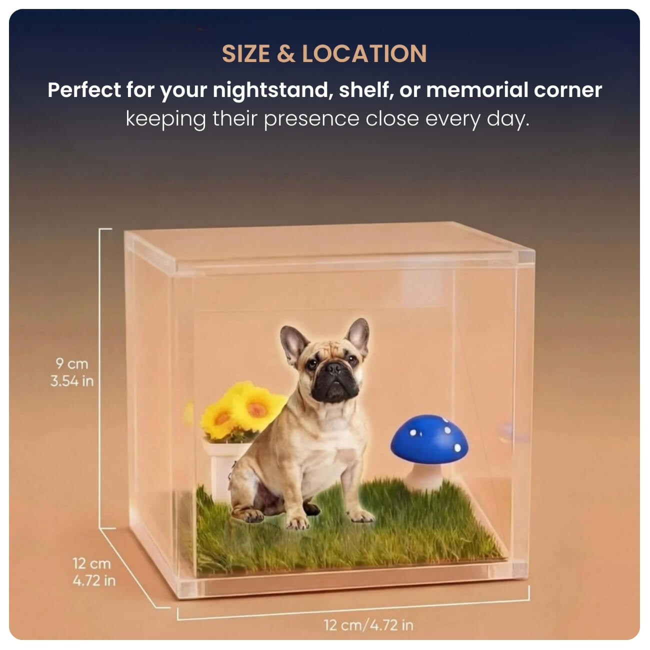 HoloMemory™ A presence that feels real